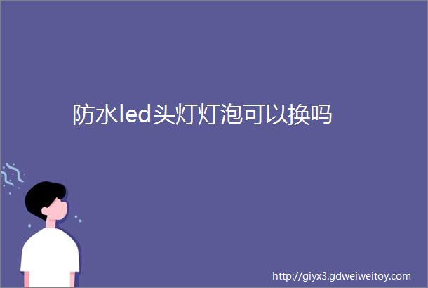 防水led头灯灯泡可以换吗